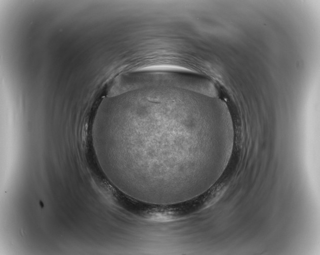 X0000085300263200703161439