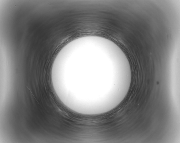 X0000085300264200703161439