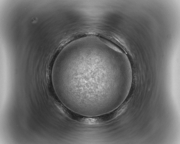 X0000085300265200703161439