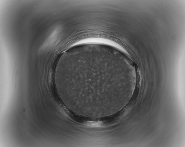 X0000085300266200703161439