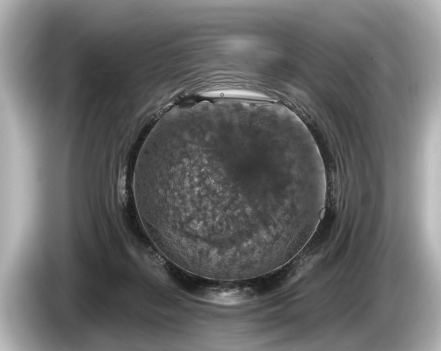 X0000085300267200703161439