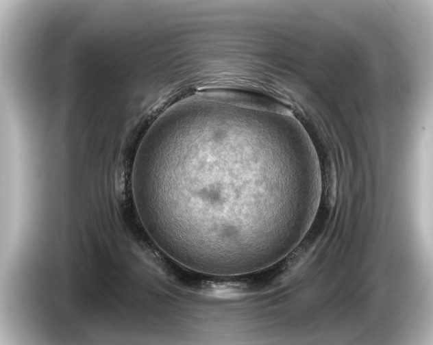 X0000085300268200703161439