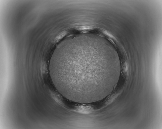 X0000085300270200703161439