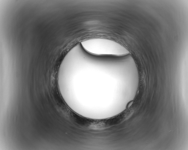 X0000085300271200703161439