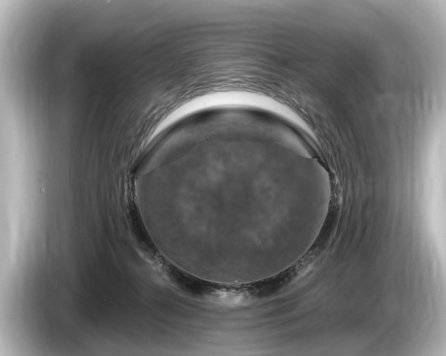 X0000085300272200703161439