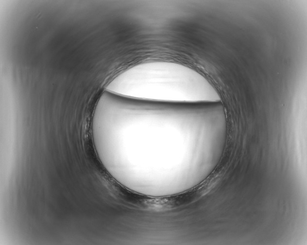 X0000085300273200703161439