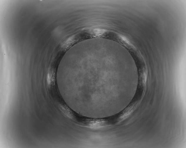 X0000085300274200703161439