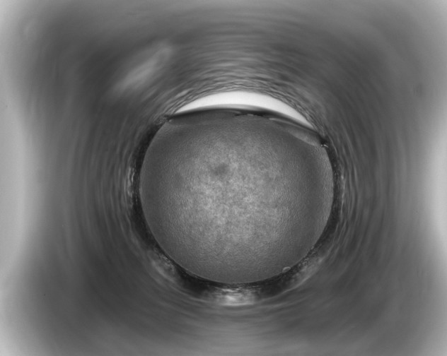 X0000085300275200703161439