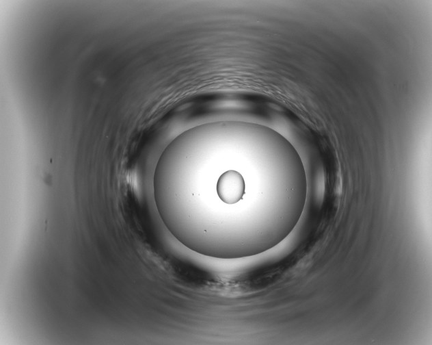 X0000085300276200703161439