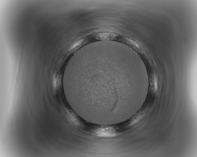 X0000085300278200703161439