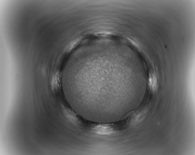 X0000085300280200703161439