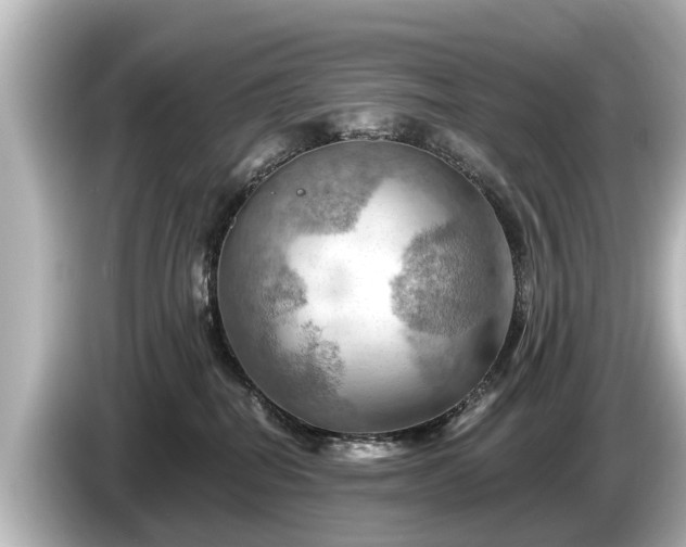 X0000085300282200703161439