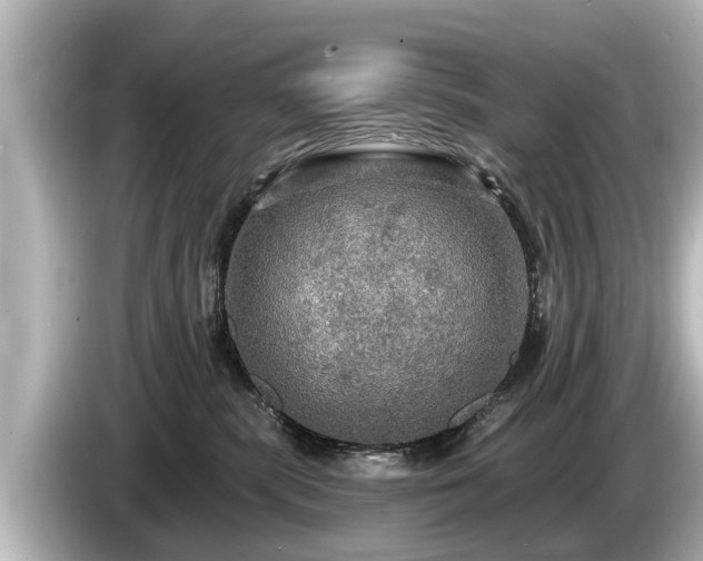 X0000085300283200703161439