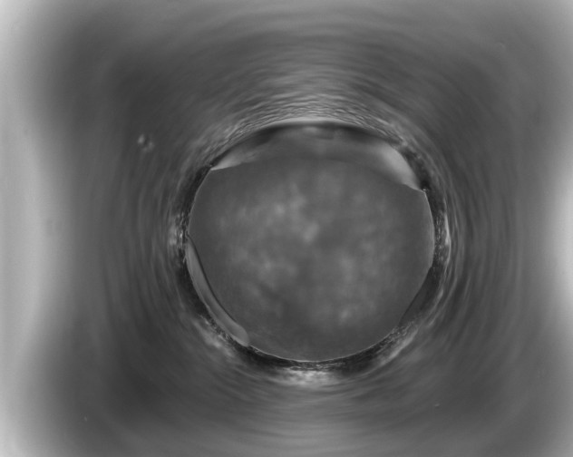 X0000085300284200703161439