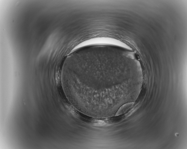 X0000085300285200703161439