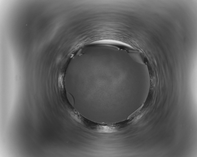 X0000085300286200703161439