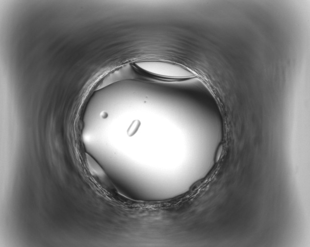 X0000085300289200703161439