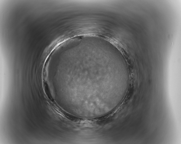 X0000085300290200703161439