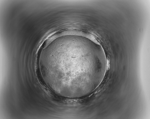 X0000085300291200703161439