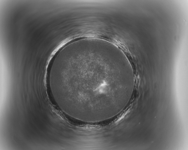 X0000085300292200703161439