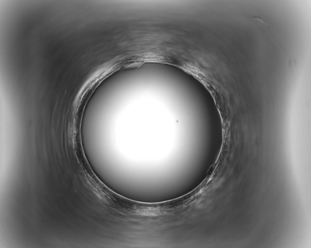 X0000085300293200703161439