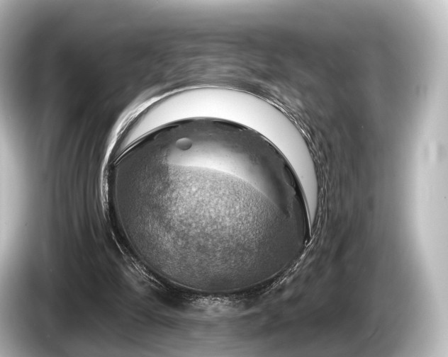 X0000085300294200703161439