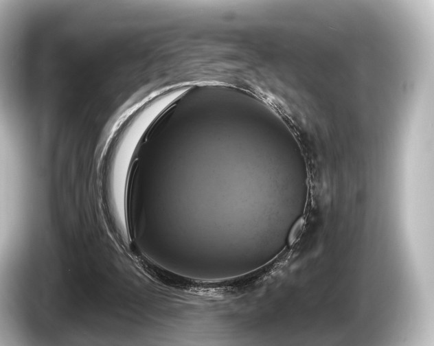 X0000085300295200703161439