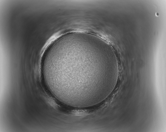 X0000085300296200703161439