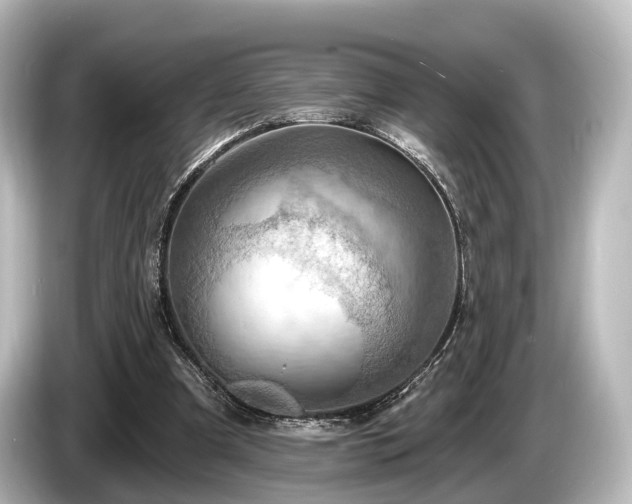 X0000085300297200703161438