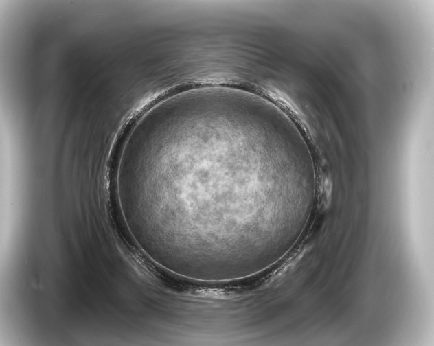 X0000085300298200703161438