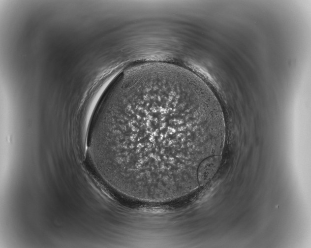 X0000085300299200703161438