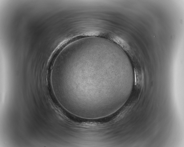 X0000085300300200703161438