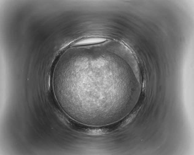 X0000085300301200703161438