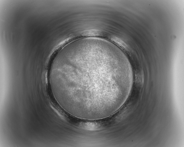 X0000085300302200703161438