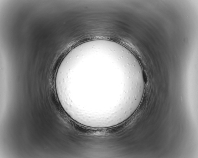 X0000085300306200703161438