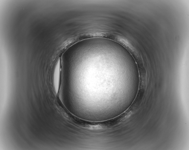 X0000085300309200703161438