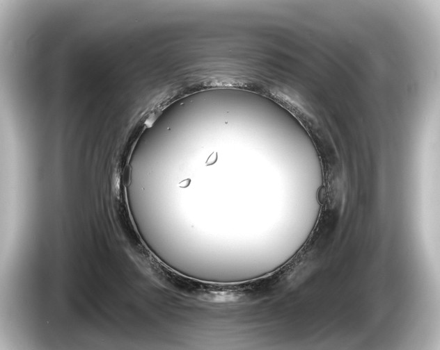 X0000085300310200703161438