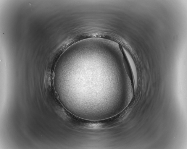 X0000085300313200703161438