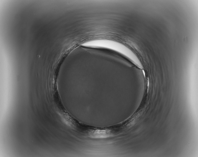 X0000085300314200703161438