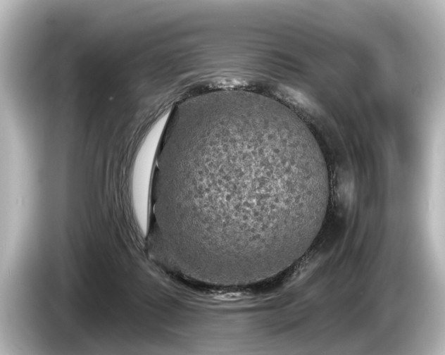 X0000085300315200703161438