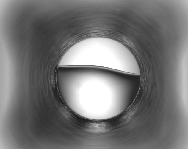 X0000085300317200703161438