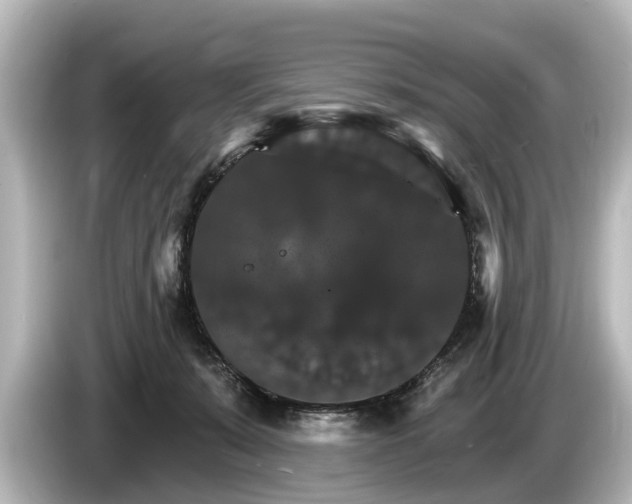 X0000085300319200703161438