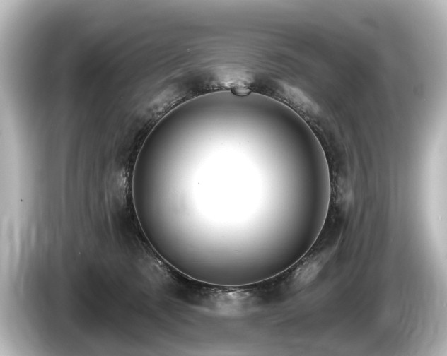 X0000085300321200703161438