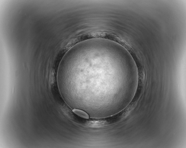 X0000085300323200703161438