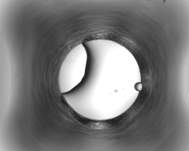 X0000085300324200703161438