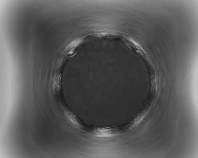 X0000085300325200703161438