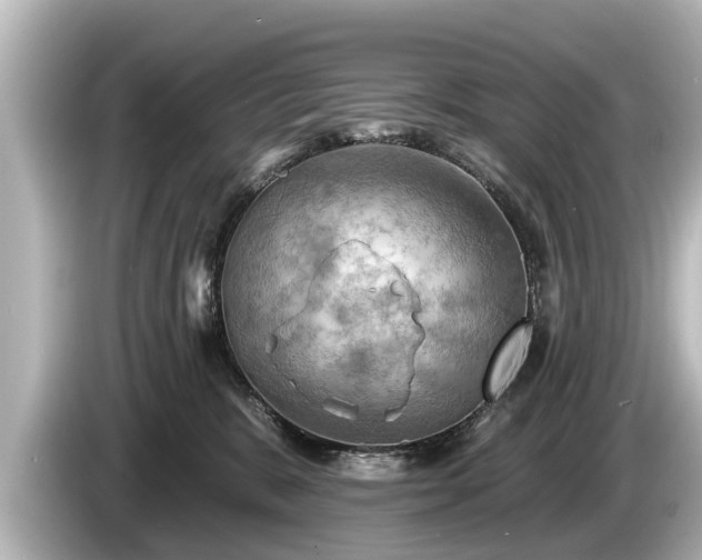 X0000085300327200703161438