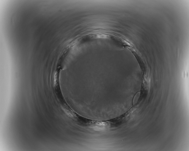 X0000085300330200703161438