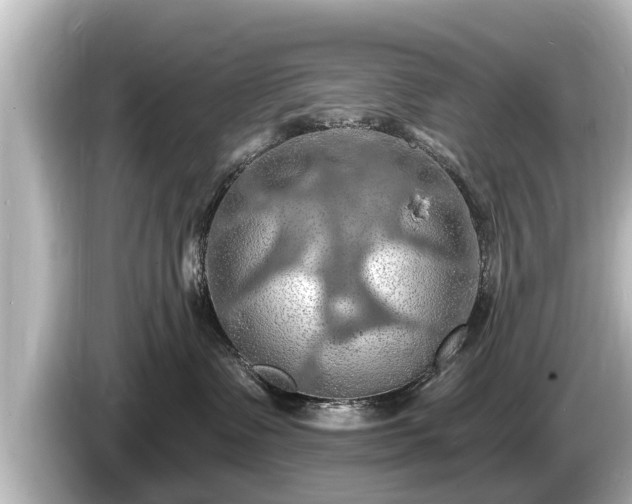 X0000085300335200703161438