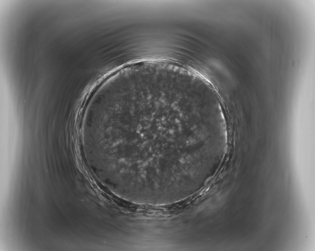 X0000085300337200703161437